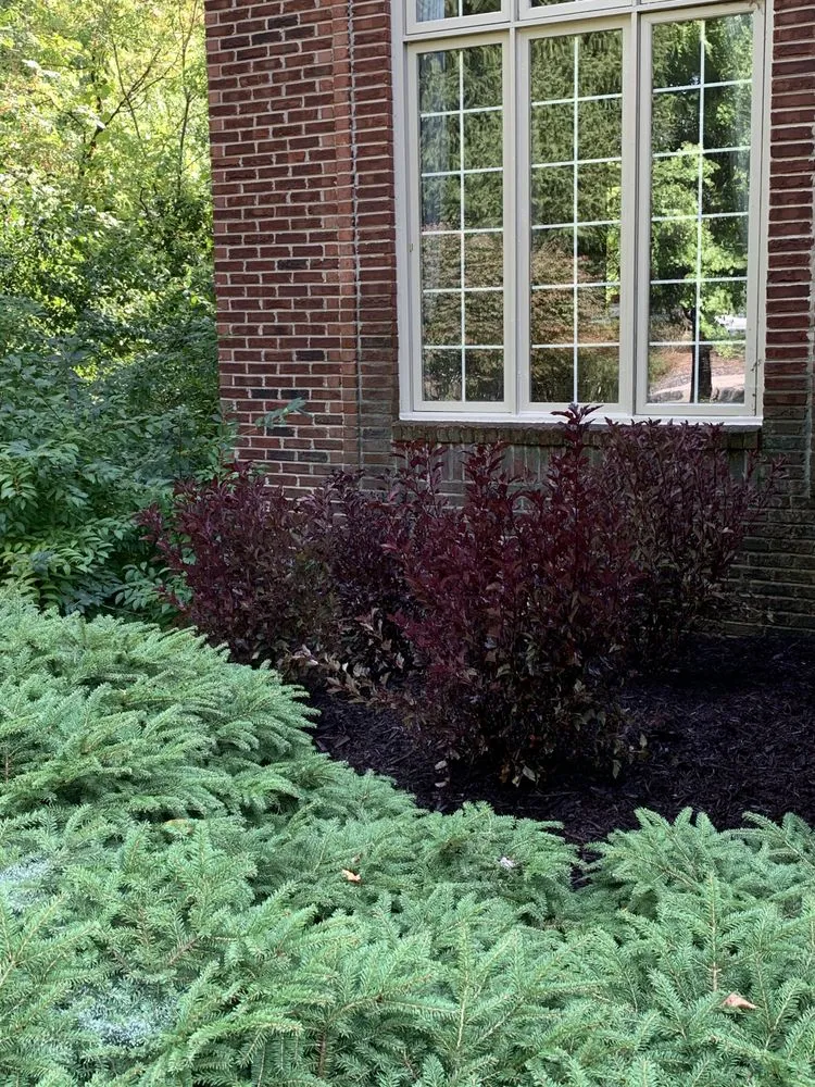Affordable yard maintenance in Milford, MI by Landscape Magic