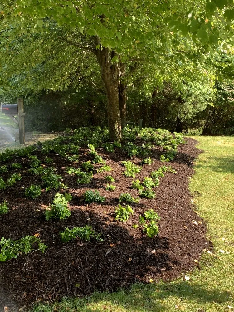 Expert garden landscaping for outdoor upgrades across Milford, MI - Landscape Magic