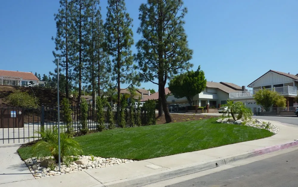 Expert landscape installation for beautiful yards across Azusa, CA - Landscape Maintenance