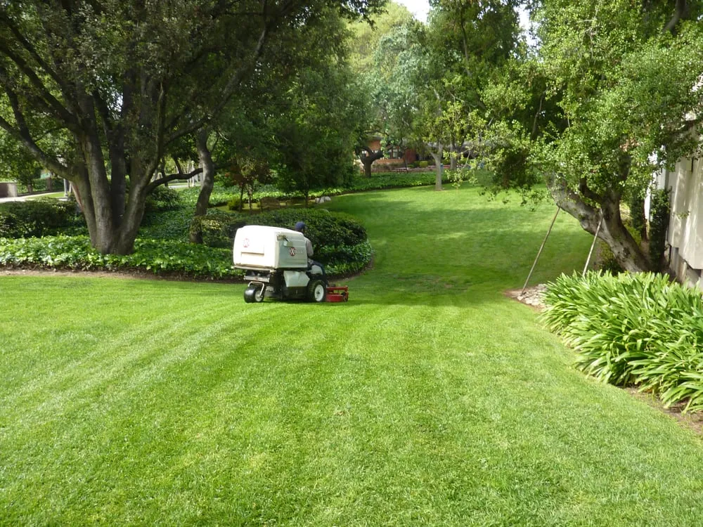 Custom lawn care service experts serving Azusa, CA - Landscape Maintenance