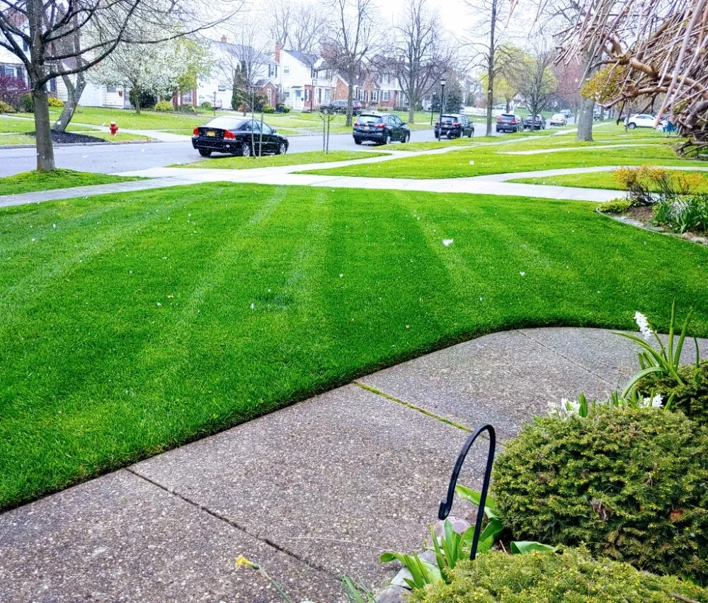 Trusted yard maintenance for residential properties in Cheektowaga, NY by Landscape Maintenance Group of WNY