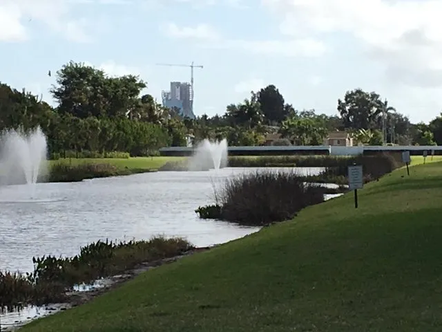 Custom outdoor landscaping for residential properties across Dover, FL - Landscape Maintenance Professionals
