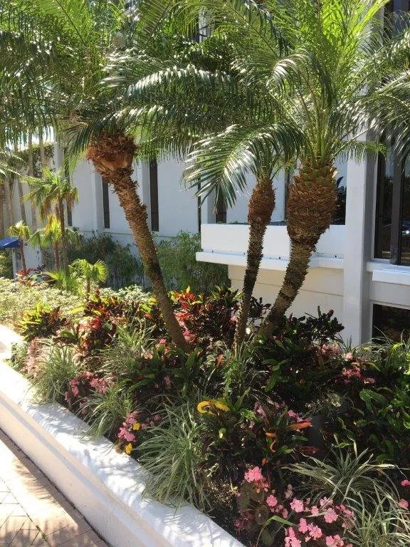 Top-rated landscape design experts serving Dover, FL - Landscape Maintenance Professionals