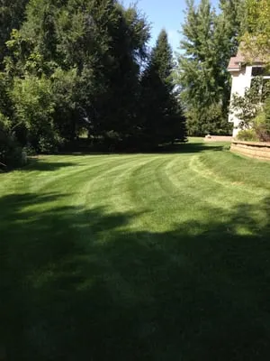 Landscape Maintenance Professionals