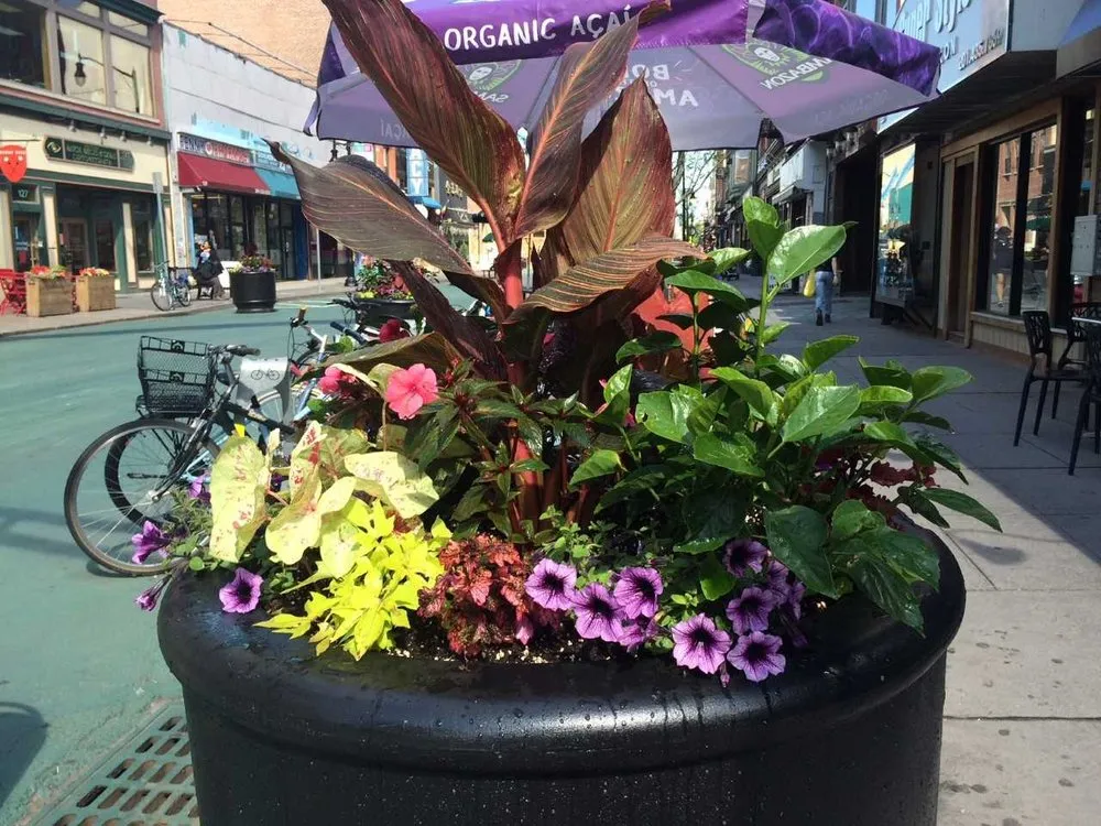 Expert outdoor landscaping for residential properties across Hillsborough Township, NJ - Landscape Maintenance Services