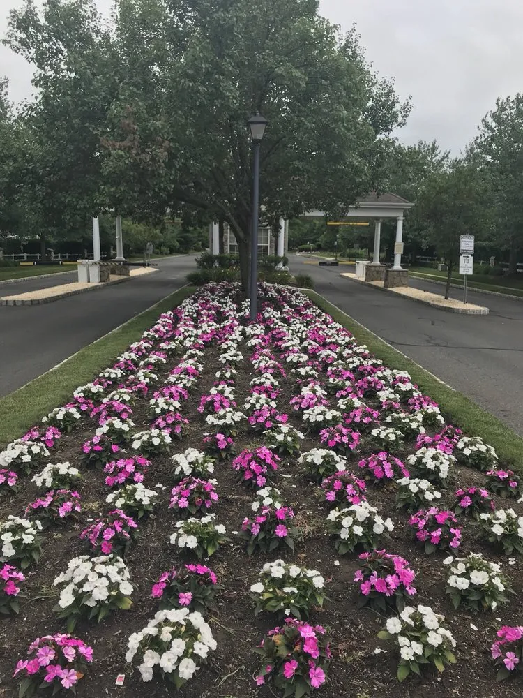 Reliable yard maintenance for outdoor upgrades across Hillsborough Township, NJ - Landscape Maintenance Services