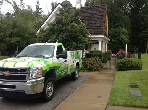 Top-rated landscape installation in Chapin, SC - Landscape Management