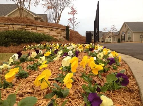 Affordable residential landscaping with custom design in Chapin, SC by Landscape Management