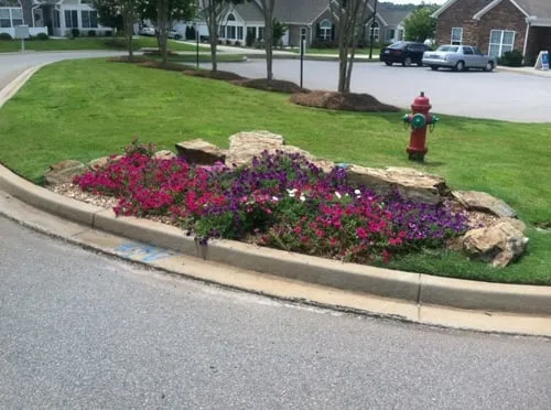 Professional landscaping services with custom design across Chapin, SC - Landscape Management