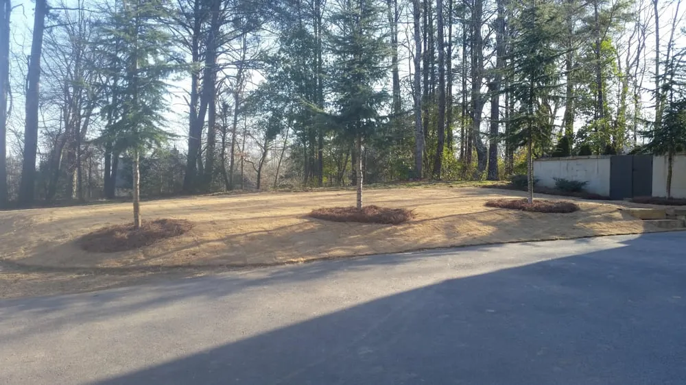 Trusted landscape installation in Gardendale, AL by Landscape Managers