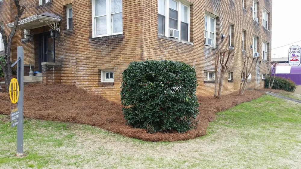 Expert landscaping services in Gardendale, AL by Landscape Managers