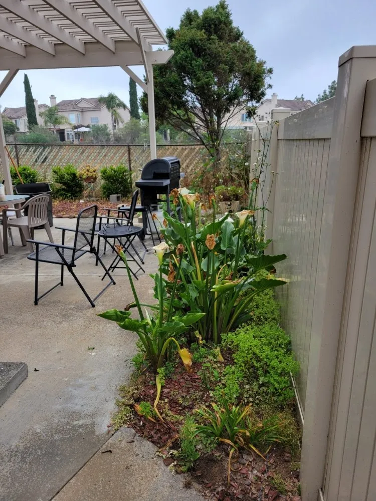 Custom residential landscaping in San Diego, CA - Landscape Martin Lopez