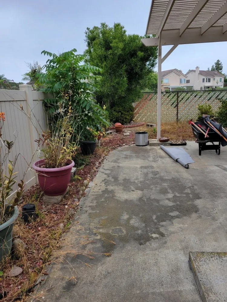 Local outdoor landscaping for year-round maintenance in San Diego, CA by Landscape Martin Lopez