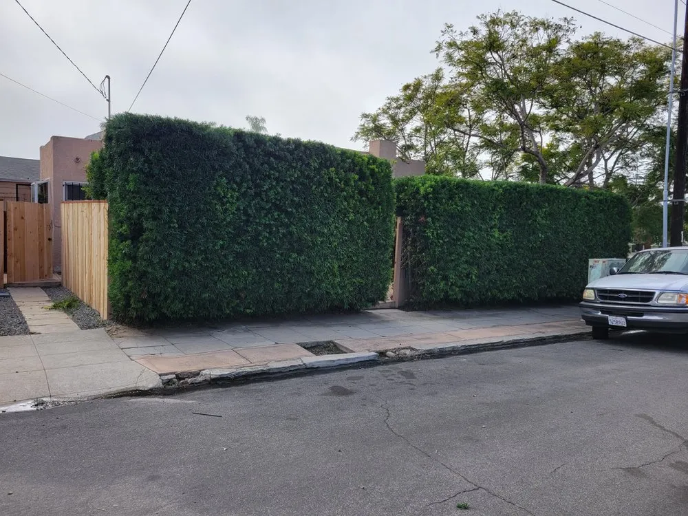 Custom lawn care service experts serving San Diego, CA - Landscape Martin Lopez