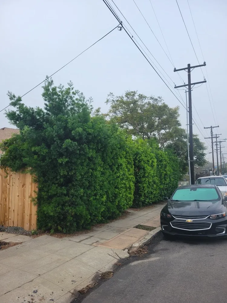 Expert residential landscaping in San Diego, CA - Landscape Martin Lopez