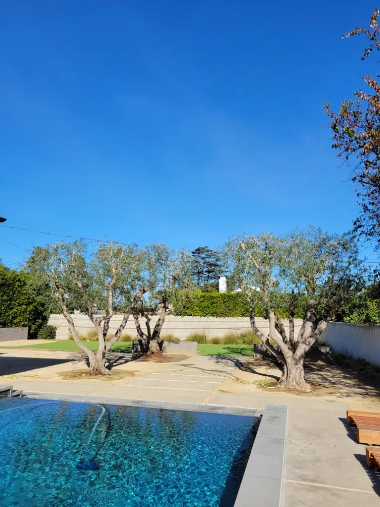 Reliable landscape design in San Diego, CA - Landscape Martin Lopez