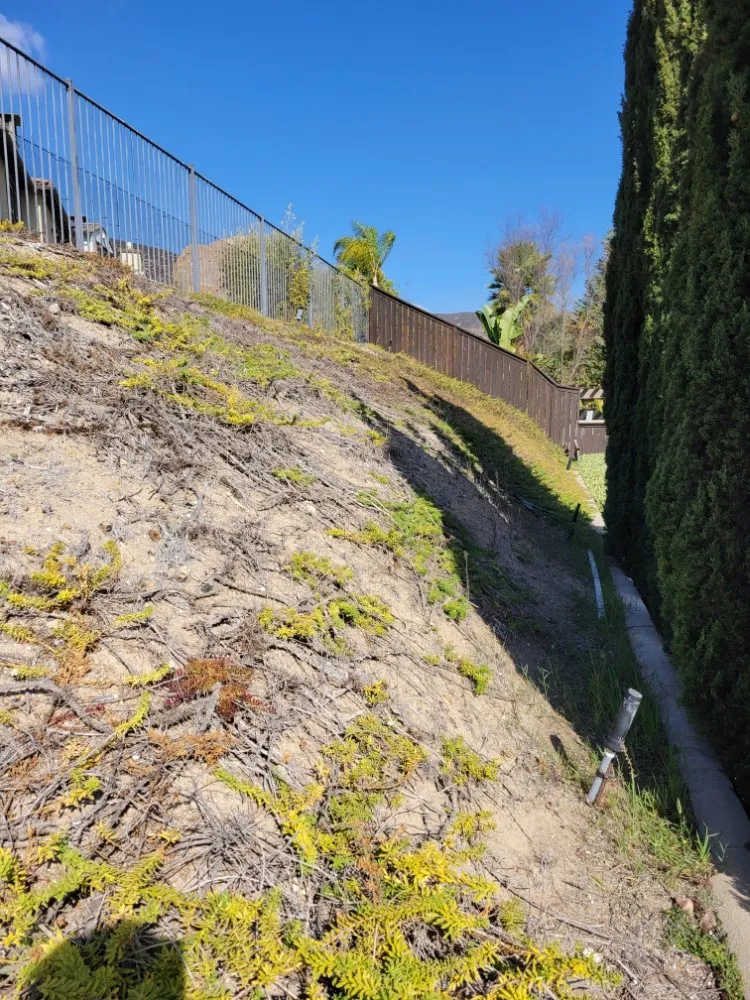 Local yard cleanup service for beautiful yards in San Diego, CA by Landscape Martin Lopez