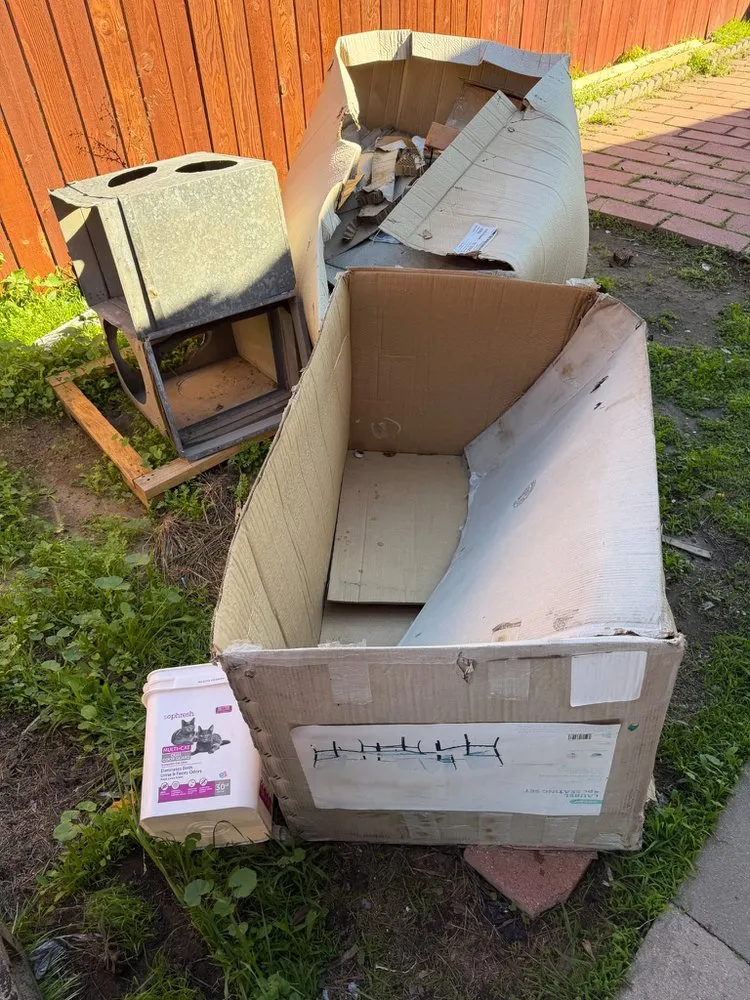 Expert landscape design for outdoor upgrades across San Diego, CA - Landscape Martin Lopez