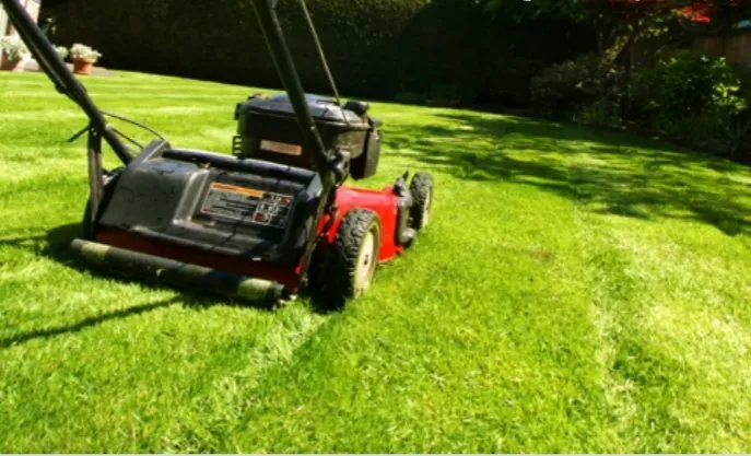 Trusted landscaping services for homes in San Jose, CA by Landscape Martinez