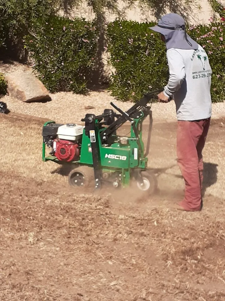 Custom yard cleanup service experts serving Phoenix, AZ - Landscape Master