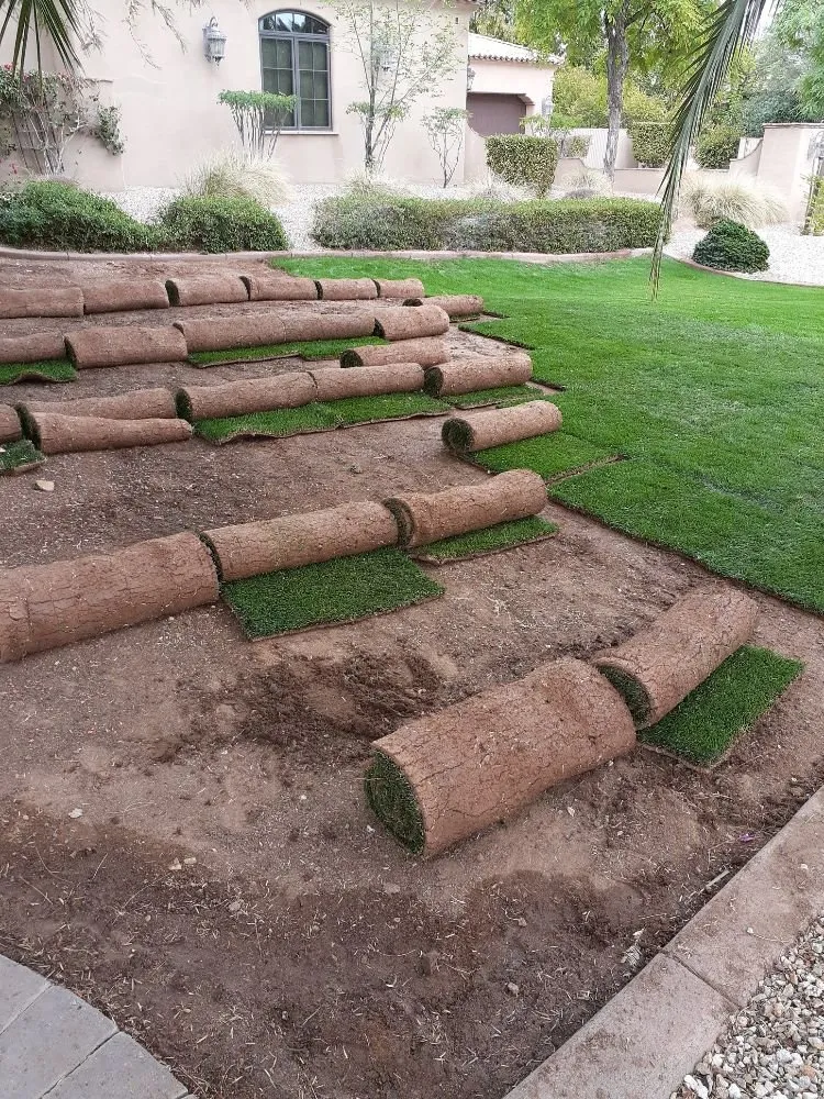 Professional lawn mowing service for homes across Phoenix, AZ - Landscape Master