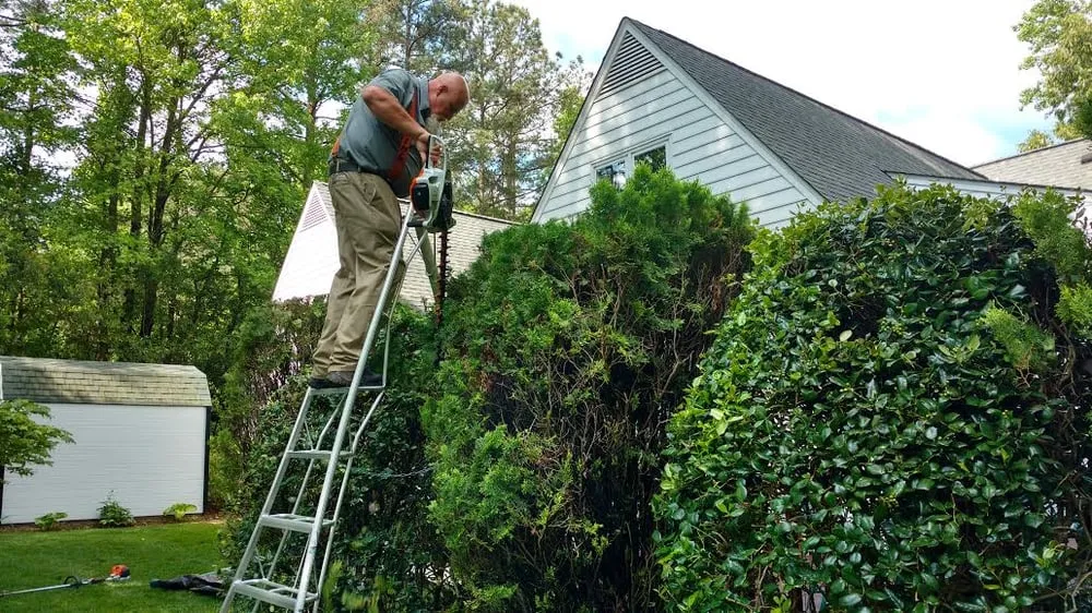 Professional yard cleanup service for residential properties across Youngsville, NC - Landscape Masters