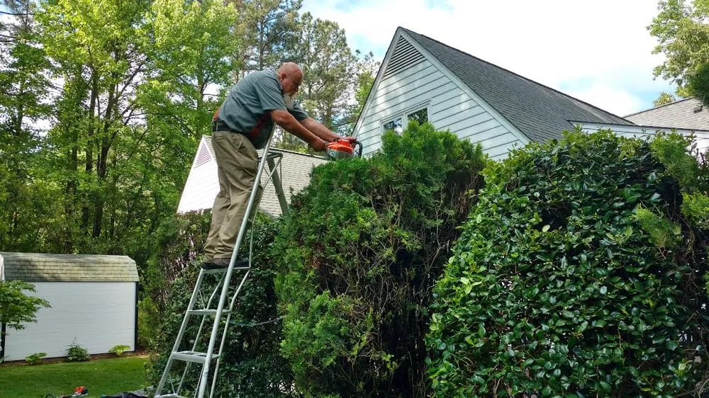 Expert landscaping services experts serving Youngsville, NC - Landscape Masters