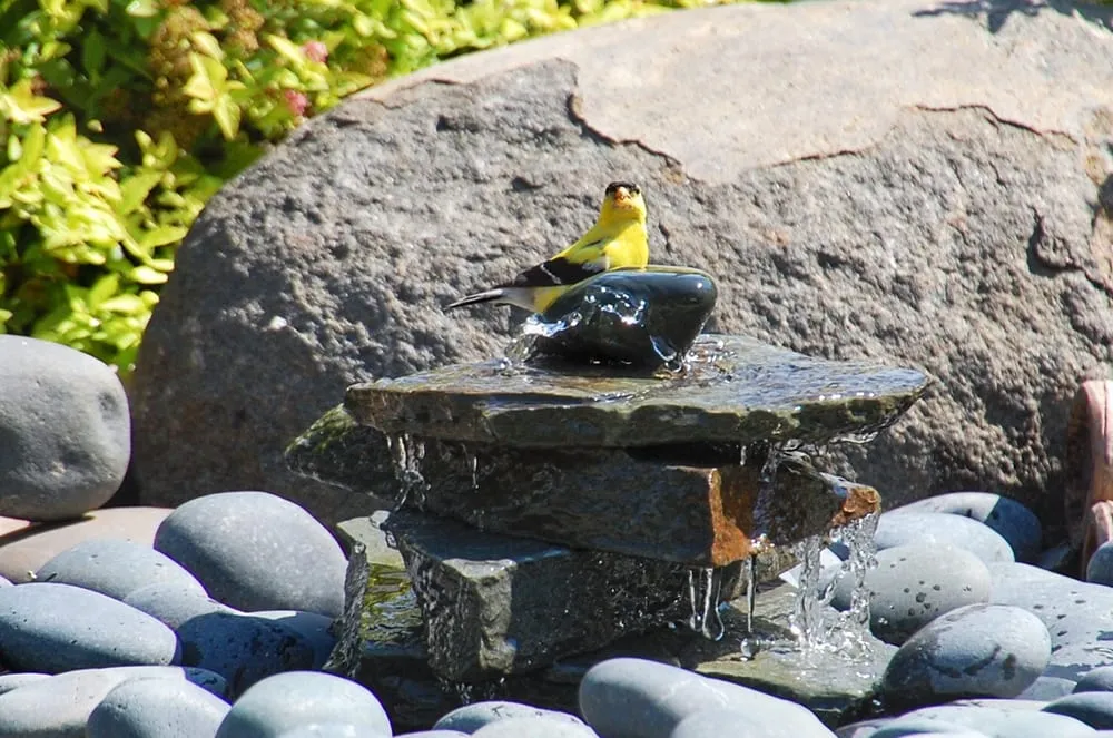 Custom landscape design with custom design across Green Bay, WI - Landscape Medics