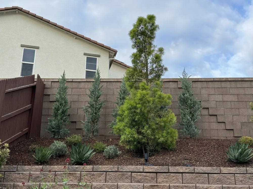 Local lawn care service in Folsom, CA by Landscape Mountain View