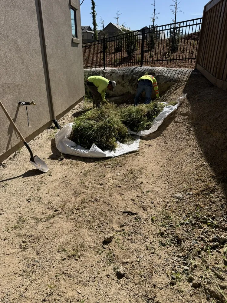 Professional landscape installation experts serving Folsom, CA - Landscape Mountain View