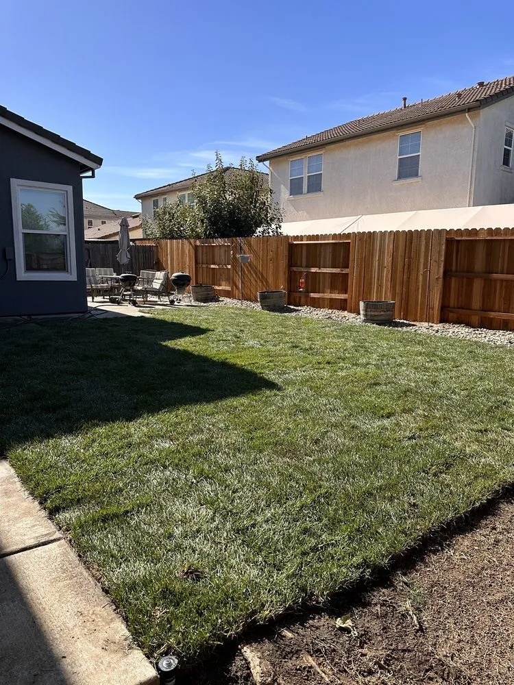 Affordable lawn care service experts serving Folsom, CA - Landscape Mountain View