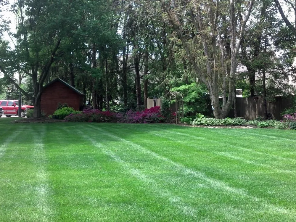 Professional landscape design in Plain City, OH by Landscape Murals