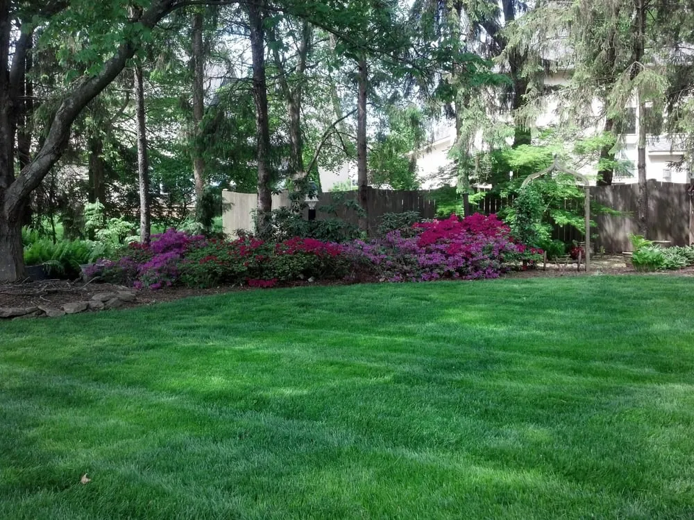 Local lawn mowing service in Plain City, OH by Landscape Murals