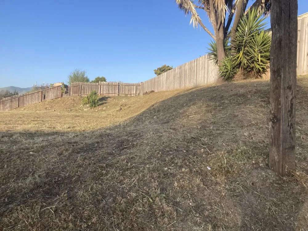Expert yard maintenance experts serving Watsonville, CA - Landscape Natural Environment