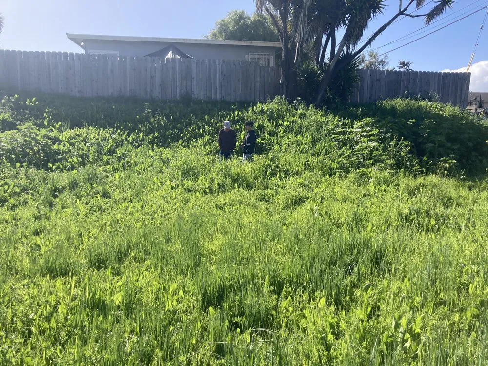 Trusted landscaping services experts serving Watsonville, CA - Landscape Natural Environment