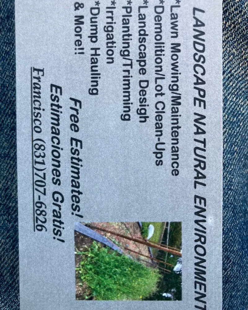 Professional lawn care service for outdoor upgrades in Watsonville, CA by Landscape Natural Environment