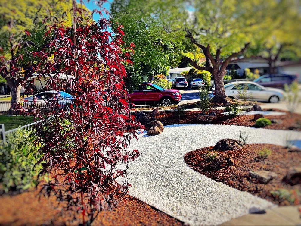 Professional outdoor landscaping with custom design across San Jose, CA - Landscape Nirvana