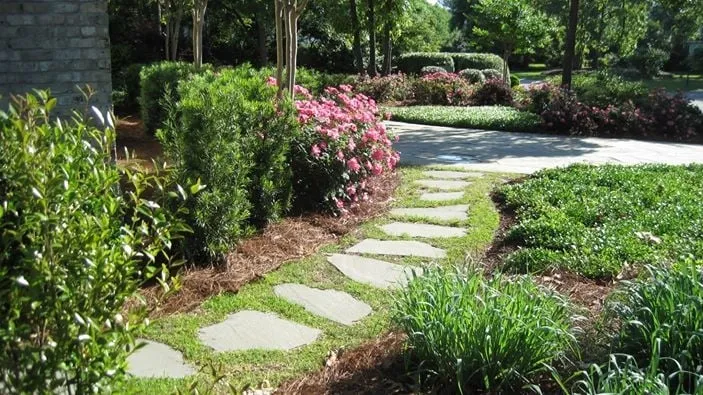 Professional landscaping services in Burgaw, NC - Landscape Nouveau