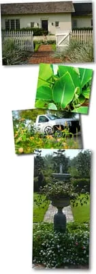 Landscape Nouveau Logo