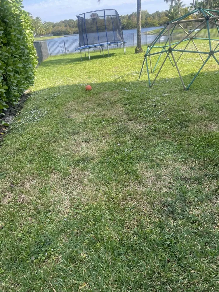 Top-rated lawn mowing service in Coral Springs, FL by Landscape Nutrition