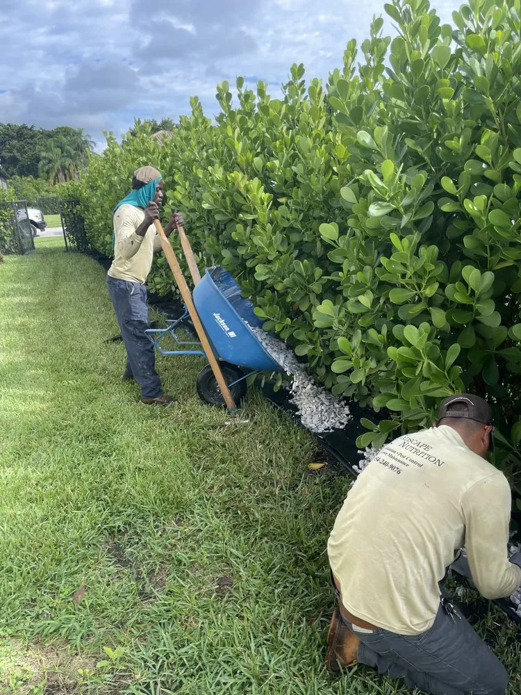 Local landscape design for beautiful yards across Coral Springs, FL - Landscape Nutrition