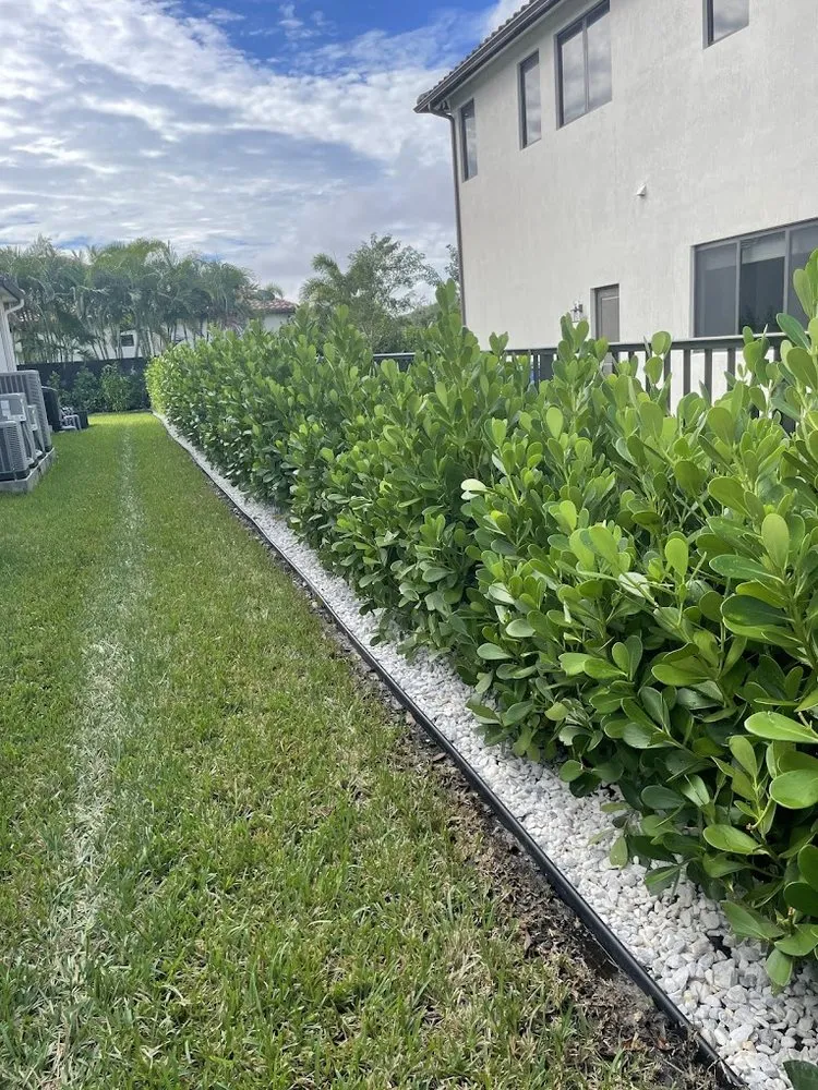 Reliable landscape installation in Coral Springs, FL by Landscape Nutrition