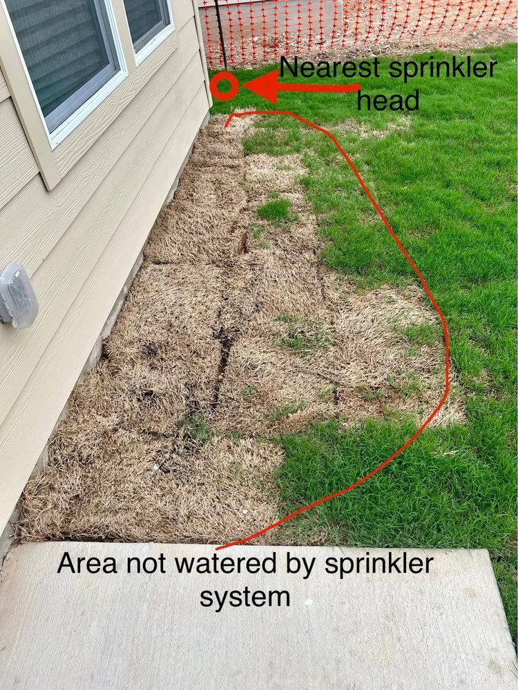 Expert landscaping services experts serving Schertz, TX - Landscape of Texas