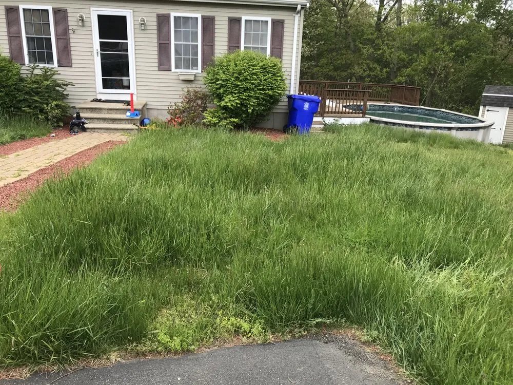 Affordable lawn care service for residential properties across Boston, MA - Landscape On Demand
