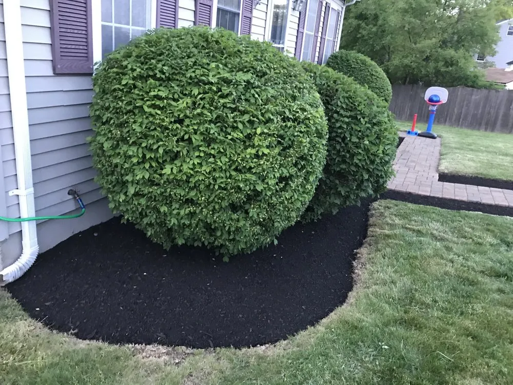 Top-rated lawn care service near you in Boston, MA by Landscape On Demand