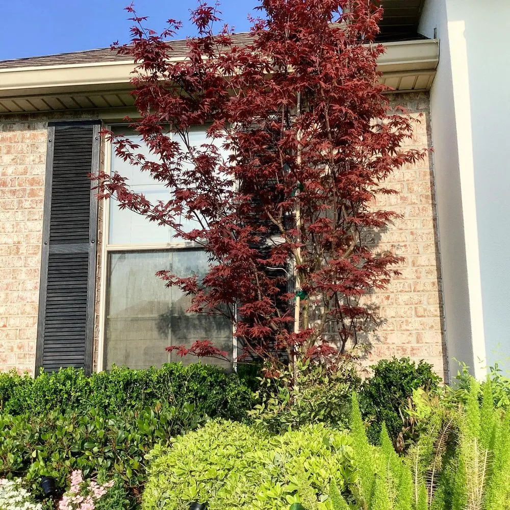 Reliable lawn mowing service in Metairie, LA - Landscape Orleans