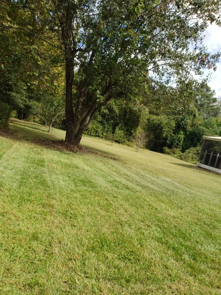 Trusted lawn care service in North Augusta, SC by Landscape Paradise The Perfect Finish