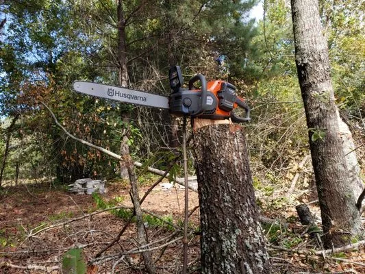 Landscape Paradise The Perfect Finish Logo