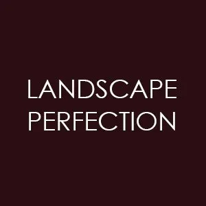 Top-rated landscaping services near you in Bakersfield, CA by Landscape Perfection