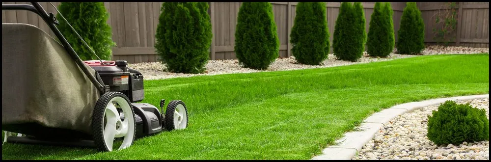 Reliable landscaping services in Bakersfield, CA by Landscape Perfection